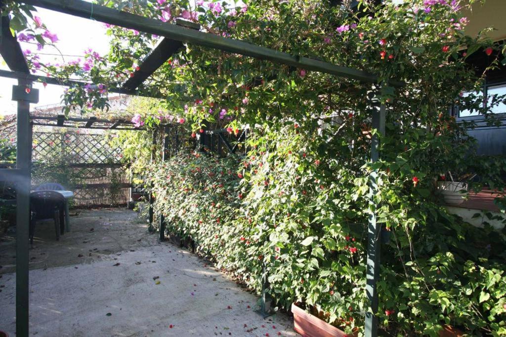 Villa La Casa De Gene Ruilobuca Esterno foto